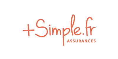 plus simple logo in orange with white background
